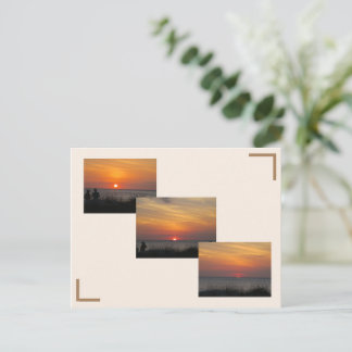 Sunset on the Gulf Postcard
