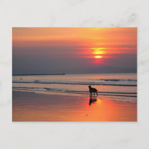 Sunset on the Irish Sea Postcard