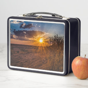 Sunset on the Kalahari desert, Namibia Metal Lunch Box