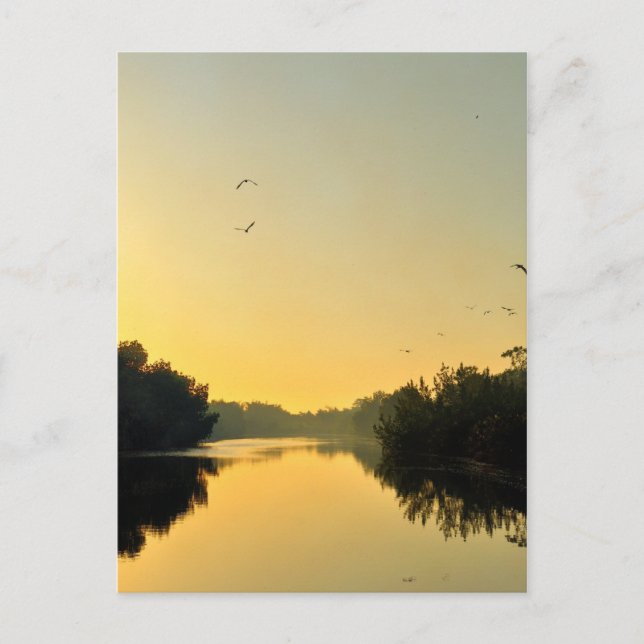 Sunset on The Negril River Postcard (Front)