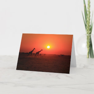 Sunset on the Nxai Pan Holiday Card