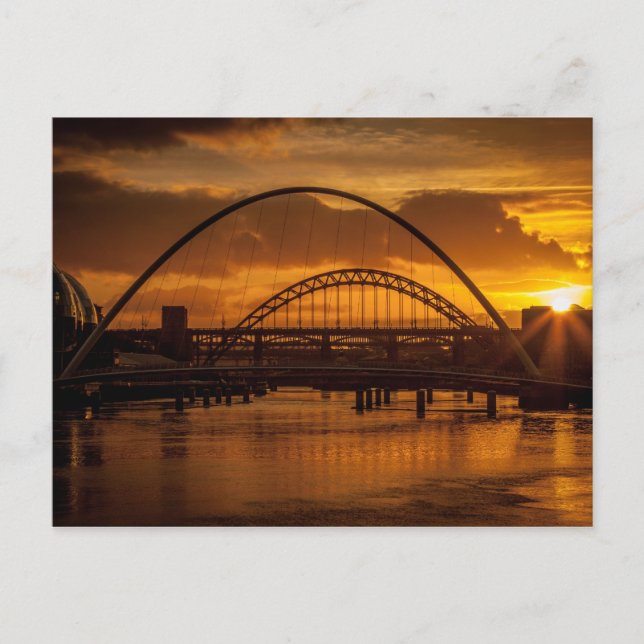Sunset on the River Tyne Postcard (Front)