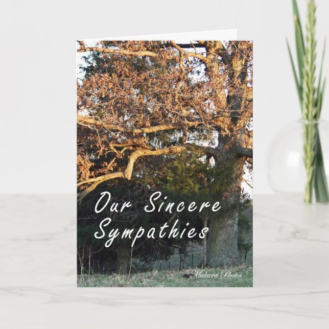 Sunset on the tree sympathy card (Front)