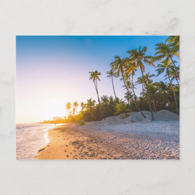 Sunset on Tropical Beach | Dominican Republic Postcard (Front)
