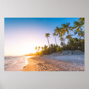 Sunset on Tropical Beach Dominican Republic Poster