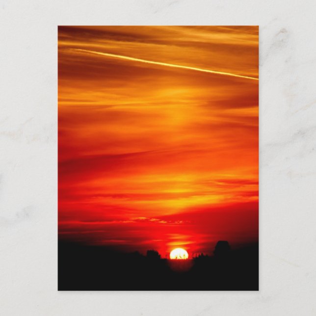 Sunset orange sky landscape postcard (Front)