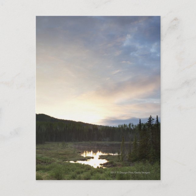 Sunset Over A Misty Pond Postcard (Front)