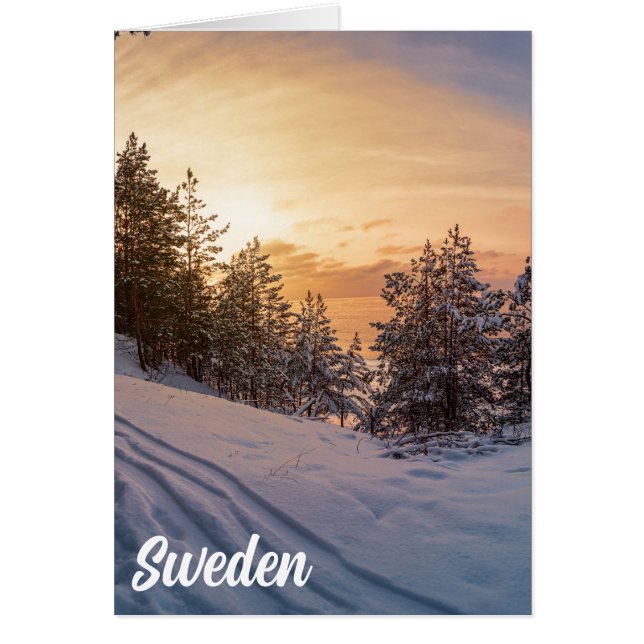 Sunset over frozen snowy forest near sea (Front)