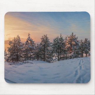 Sunset over frozen snowy forest near sea mouse pad