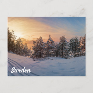 Sunset over frozen snowy forest near sea postcard