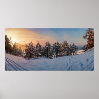 Sunset over frozen snowy forest near sea poster