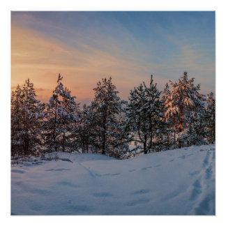 Sunset over frozen snowy forest near sea poster