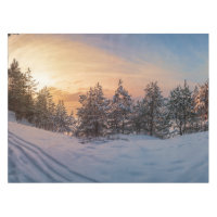 Sunset over frozen snowy forest near sea