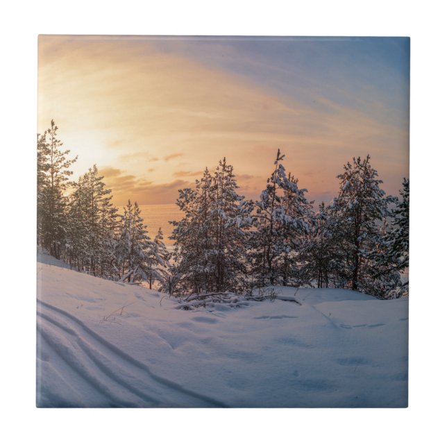 Sunset over frozen snowy forest near sea tile (Front)