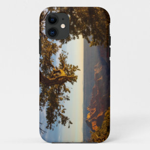 Sunset over Grand Canyon Case-Mate iPhone Case