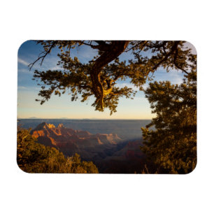 Sunset over Grand Canyon Magnet
