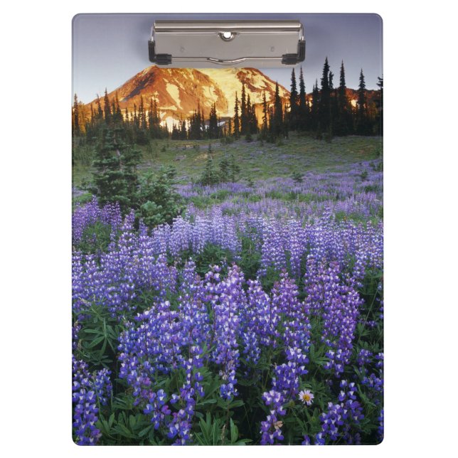 Sunset over Mt. Adams and a sub-alpine meadow Clipboard (Front)