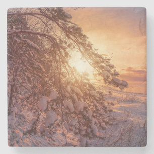 Sunset over sea and snowy pine tree stone coaster