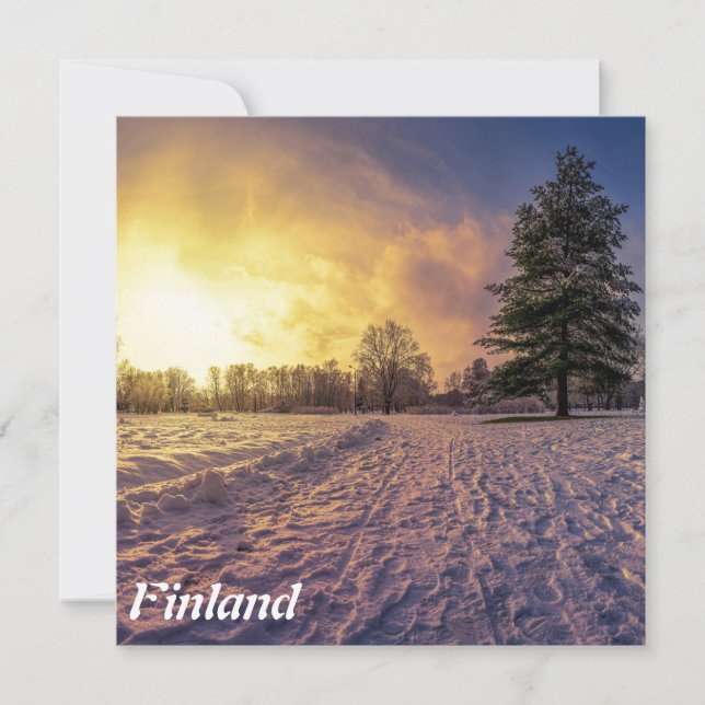 Sunset over snowy winter park (Front)