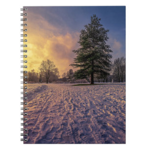 Sunset over snowy winter park notebook