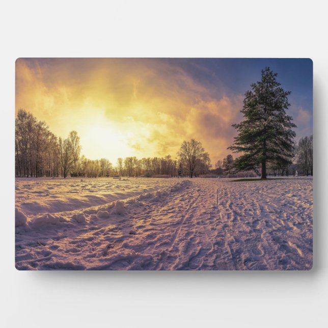 Sunset over snowy winter park plaque (Front)
