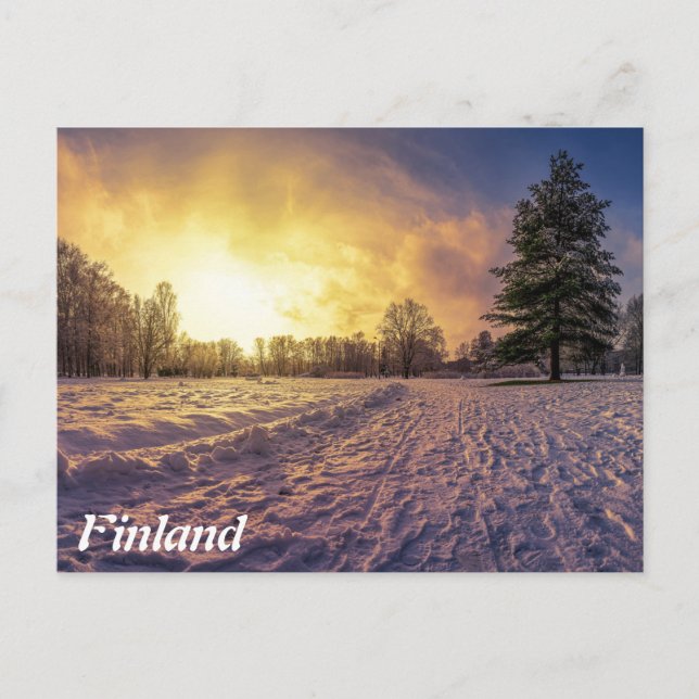 Sunset over snowy winter park postcard (Front)