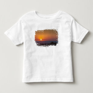 Sunset Over The African Landscape Toddler T-Shirt