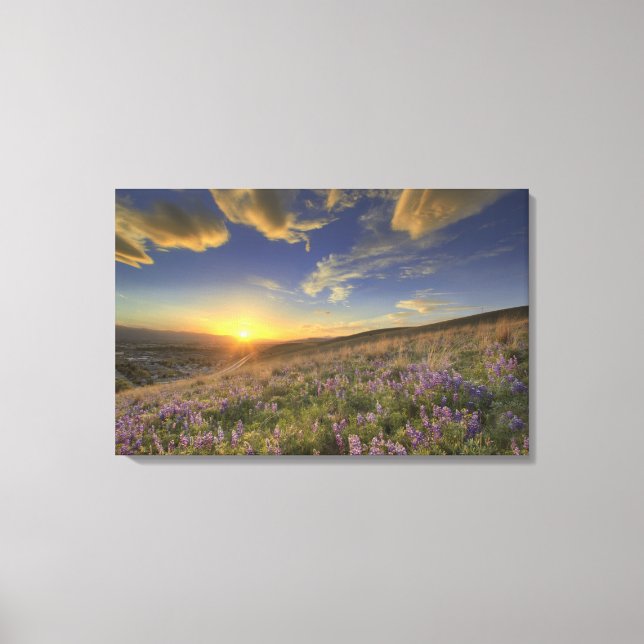 Sunset over the Bitterroot Mountains and vast Canvas Print (Front)