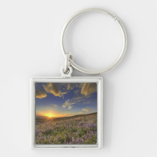 Sunset over the Bitterroot Mountains and vast Key Ring (Front)