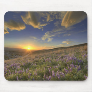 Sunset over the Bitterroot Mountains and vast Mouse Pad