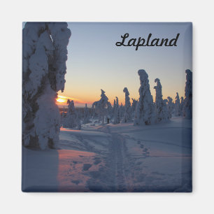Sunset over the forest in Lapland Magnet