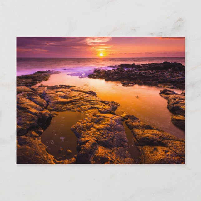 Sunset over tide pools, Hawaii Postcard (Front)