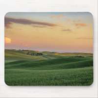 Sunset over Wheat Fields | Washington State