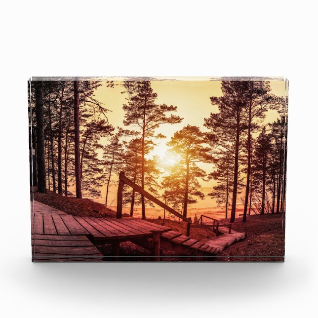 Sunset over wooden path in pine forest photo block (Front)