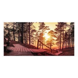 Sunset over wooden path in pine forest photo print