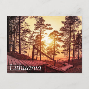 Sunset over wooden path in pine forest postcard