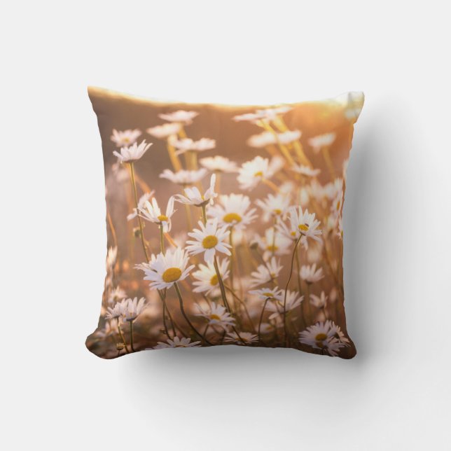 Sunset Oxeye Daisies Cushion (Front)