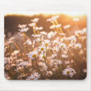 Sunset Oxeye Daisies Mouse Pad