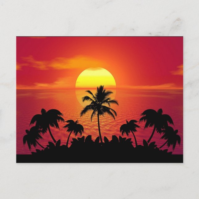 Sunset Palm Trees Silhouette-16514 Postcard (Front)