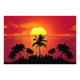 Sunset Palm Trees Silhouette-16515 Photo Print