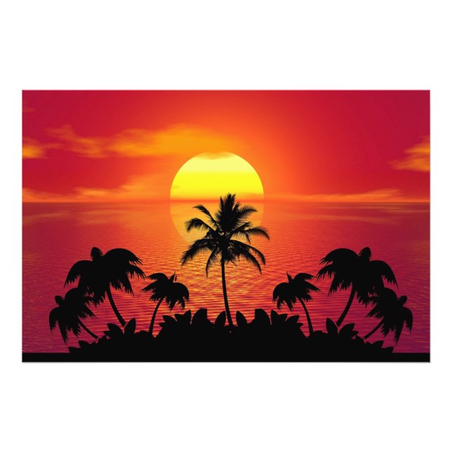Sunset Palm Trees Silhouette-16515 Photo Print (Front)