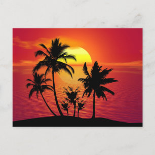 Sunset Palm Trees Silhouette Design-65143 Postcard