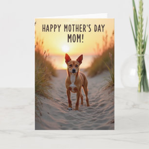 Sunset Path Mothers Day Card