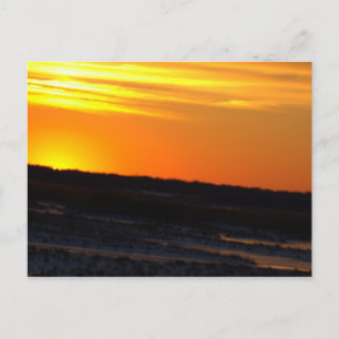 Sunset Photo Postcard