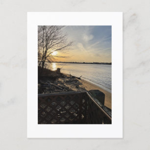 Sunset Photo Postcard