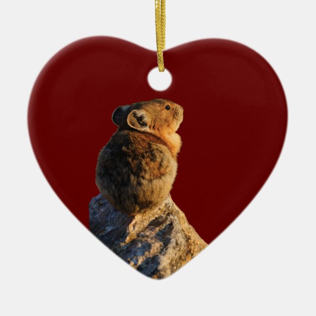 sunset pika ceramic tree decoration (Front)
