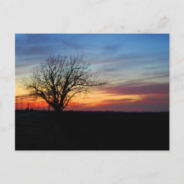 Sunset Postcard (Front)