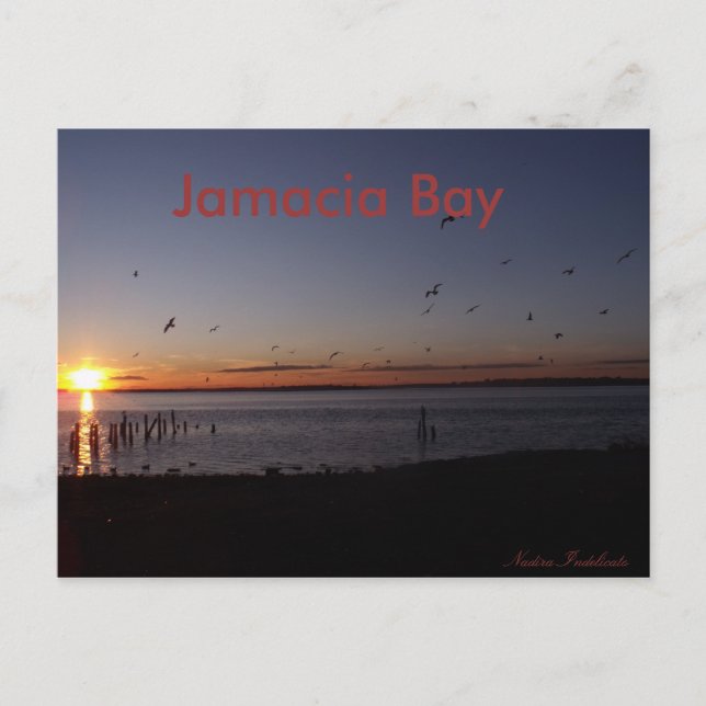 Sunset Postcard (Front)