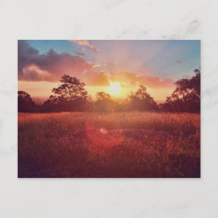 Sunset Postcard