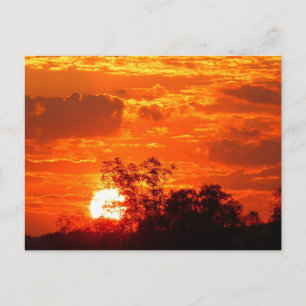 Sunset Postcard